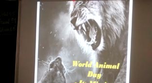 SMS, Meera Bagh - World Animal Day Celebrations : Click to Enlarge