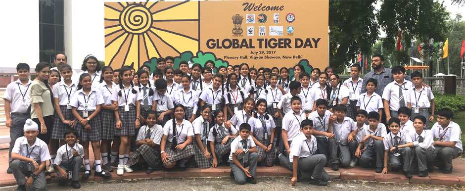 SMS, Meera Bagh - Global Tiger Day : Click to Enlarge