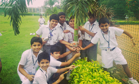 SMS, Meera Bagh - A Green Bond : Students of St. Marks celebrated #Vrikshabandhan : Click to Enlarge