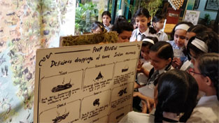 St. Mark's Meera Bagh - WWF-India : Click to Enlarge