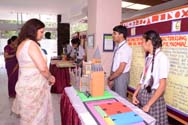 St. Mark's Meera Bagh - Quest 2015 : Science and Maths Exhibition for Class VIII : Click to Enlarge