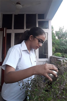 St. Mark's School, Meera Bagh - Our students participated in Water auditing as well as calculation of carbon footprints : Click to Enlarge