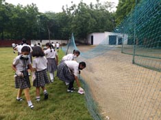 St. Mark's School, Janak Puri - Cleanliness Drive by the students of Class V : Click to Enlarge