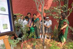 St. Mark's, Janakpuri - SMS Herb Wheel : Tree Plantation : Click to Enlarge