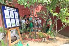 St. Mark's, Janakpuri - SMS Herb Wheel : Tree Plantation : Click to Enlarge