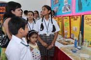 St. Mark's, Janakpuri - Quest 2015 : Science and Maths Exhibition