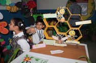 SMS Janakpuri - Science and Maths Quest 2016 : Click to Enlarge