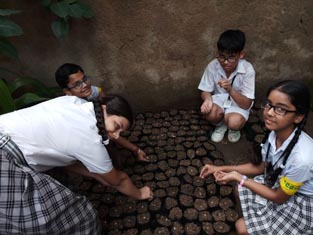 St. Mark's School, Janak Puri - A special project - SWACHHATA HI SEWA, as per the guidelines given by the Ministry of Human Resource Department : Click to Enlarge