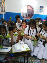 St. Mark's School, Janak Puri - Second Hobby Club Meet of the session for the students of Classes I to V : Click to Enlarge