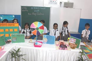 St. Mark's School, Janak Puri - Science Quest 2019 for Primary Wing : Click to Enlarge