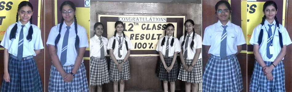 St. Mark's Sr. Sec. School, Meera Bagh - Class XII Toppers (2012-2013) : Click to Enlarge