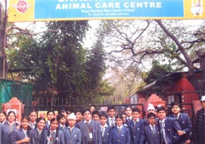 SMS Sr., Meera Bagh - Social Causes : Animal Care - Click to Enlarge