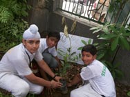 St. Mark's School, Meera Bagh - Tree Plantation Drive : Click to Enlarge