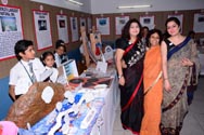 St. Mark's Meera Bagh - Quest 2014 : Science & Maths Exhibition : Click to Enlarge