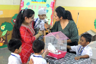 St. Marks Sr. Sec. Public School, Janakpuri - Pet Day Celebration took place for Class Nursery who enjoyed and celebrated it with great enthusiasm : Click to Enlarge