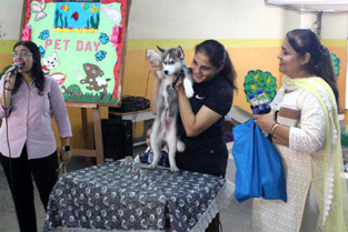 St. Marks Sr. Sec. Public School, Janakpuri - Pet Day Celebrations : Click to Enlarge