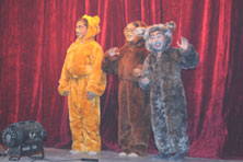 SMS, Janakpuri - Magical Journey - Primary - Teddies taking us on a Magical Journey : Click to Enlarge