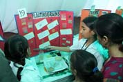 SMS, Janakpuri - Quest - Maths & Science Week : Click to Enlarge