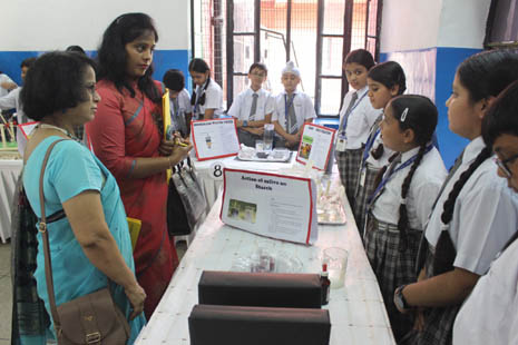St. Mark's, Janakpuri - Maths and Science Quest: 2023-2024 : Click to Enlarge
