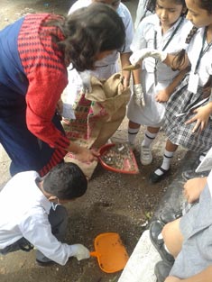 St. Mark's, Janakpuri - Cleanliness Drive by Eco Club