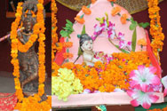 SMS Janakpuri - Janmashtami Celebrations : Click to Enlarge