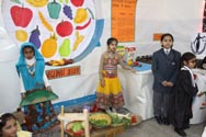 St. Mark's School, Janak Puri - Changing Phase of India : A Social Scince Exhibition : Click to Enlarge