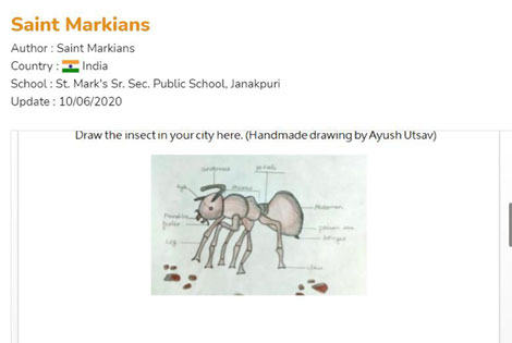 St. Mark's School, Janak Puri - Our school teams Best of Best and St. Markians won the GOLD AWARD and the SILVER AWARD in the project INSECT : Click to Enlarge
