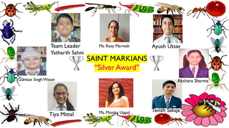 St. Mark's School, Janakpuri - Global Project : Insect : Click to Enlarge