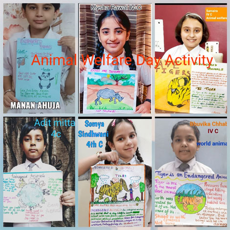 St. Mark's School, Janak Puri - To spread the message of peace and love for animals, World Animal Welfare Day was celebrated by the students of the primary section by performing various activities : Click to Enlarge
