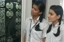 St. Mark's Girls School, Meera Bagh - A visit to the National Museum : Click to Enlarge