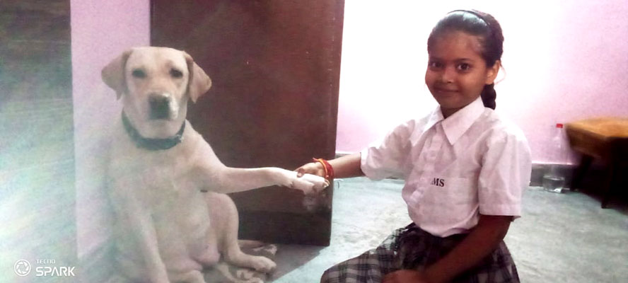 St. Mark's World School, Meera Bagh - National Pet Day Celebrations by Class 4 : Click to Enlarge