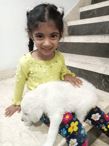 St. Mark's World School, Meera Bagh - National Pet Day : Click to Enlarge