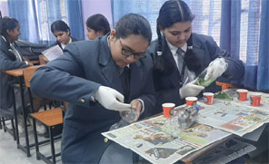 St. Mark's World School, Meera Bagh - The Soil Day Activity : Click to Enlarge