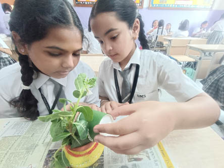 St.Marks World School Meera Bagh - International Plant Health Day : Click to Enlarge