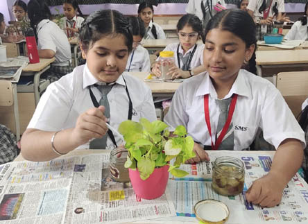 St.Marks World School Meera Bagh - International Plant Health Day : Click to Enlarge