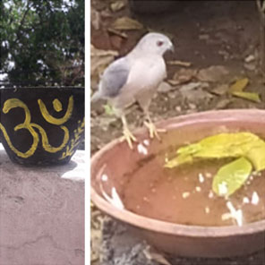 SMS Girls School, Meera Bagh - Aashrey Animal Welfare Club - save birds from heat : Click to Enlarge