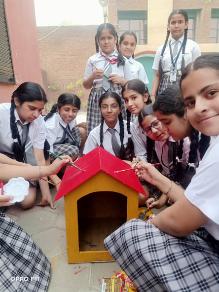 St.Marks World School Meera Bagh - Be Kind to Animal Week: Making Dog Kennel by Class IX : Click to Enlarge