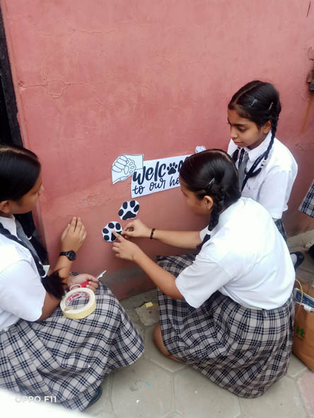 SMS World School, Meera Bagh - Be Kind to Animal Week: Making Dog Kennel by Class IX : Click to Enlarge