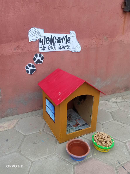 SMS World School, Meera Bagh - Be Kind to Animal Week: Making Dog Kennel by Class IX : Click to Enlarge