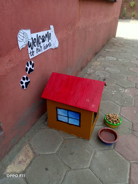 St.Marks World School Meera Bagh - Be Kind to Animal Week: Making Dog Kennel by Class IX : Click to Enlarge