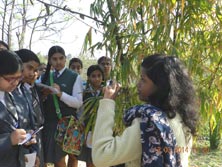 SMS Girls School - A Nature Trial to Aravalli Biodiversity Park : Click to Enlarge