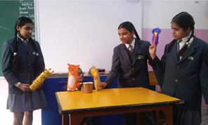 SMS Girls School, Meera Bagh - Animal Welfare Club Aashrey : Click to Enlarge