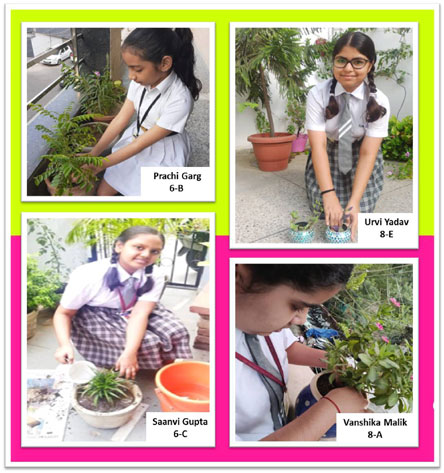 St. Mark's Girls School - Plantation Drive on the occasion of Vanmahotsav : Click to Enlarge