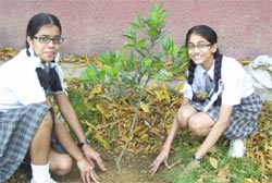 SMS Girls School Students Plant a Butterfly : Click to Enlarge