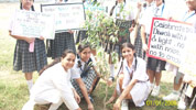 SMS Girls School - Plant a Tree : Click to Enlarge