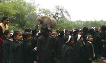 SMS Girls School - Trip to National Zoological Park : Click to Enlarge