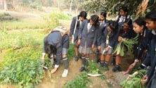 St. Mark's Girls School - Visit to an organic farm by Eco Club : Click to Enlarge