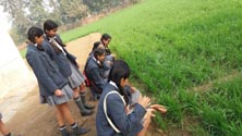St. Mark's Girls School - Visit to an organic farm by Eco Club : Click to Enlarge