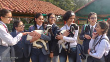 St. Mark's Girls School - Picnic to Pratapgarh Farm for Class IX : Click to Enlarge