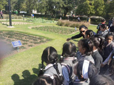 St. Mark's Girls School - Visit to Mughal Gardens for Class Sapling : Click to Enlarge